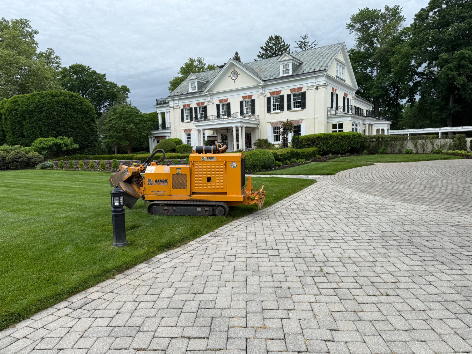 Veteran Tree & Landscape job site